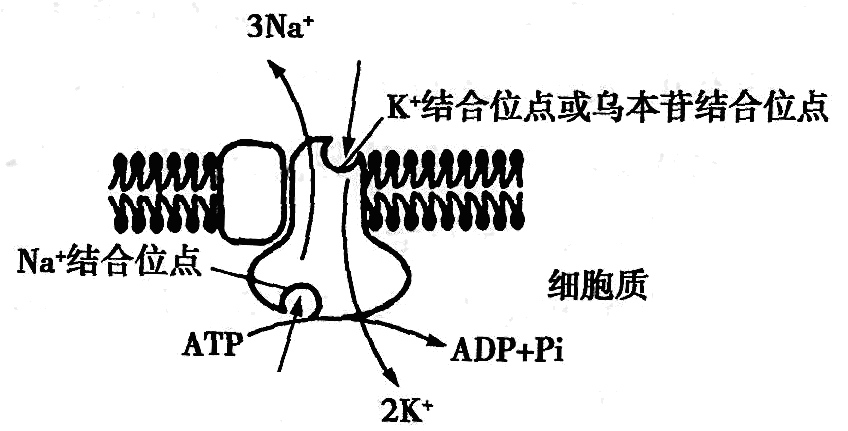 Yangzhong Teaching Studio