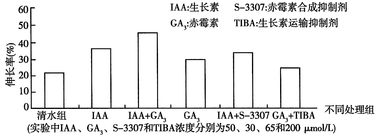 Yangzhong Teaching Studio