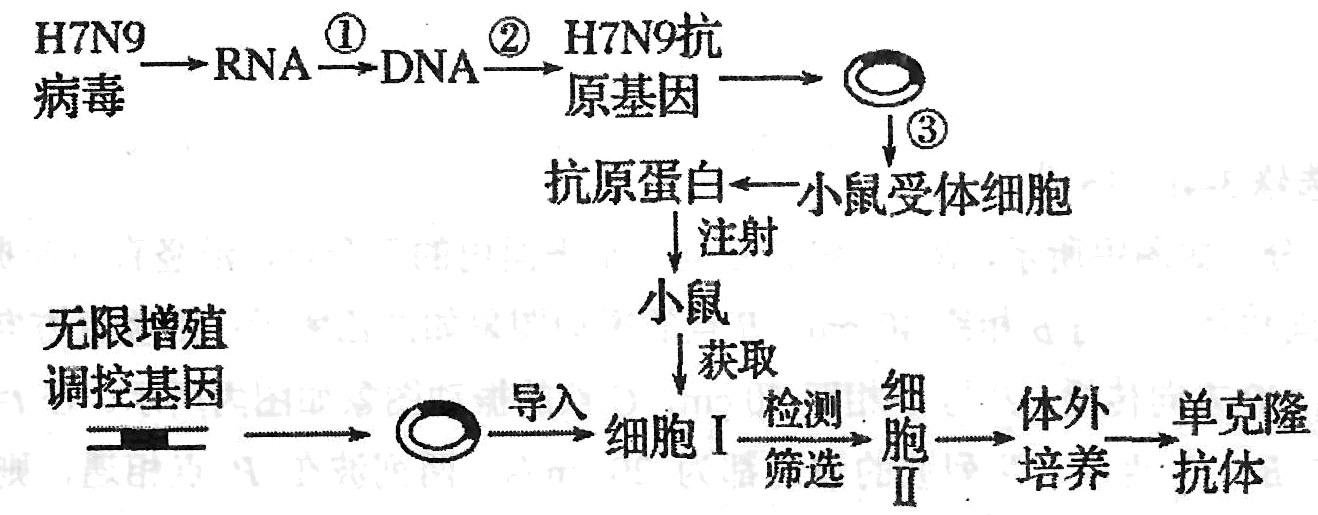 Yangzhong Teaching Studio