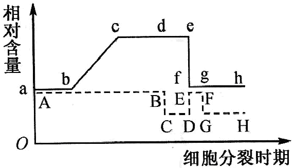 Yangzhong Teaching Studio