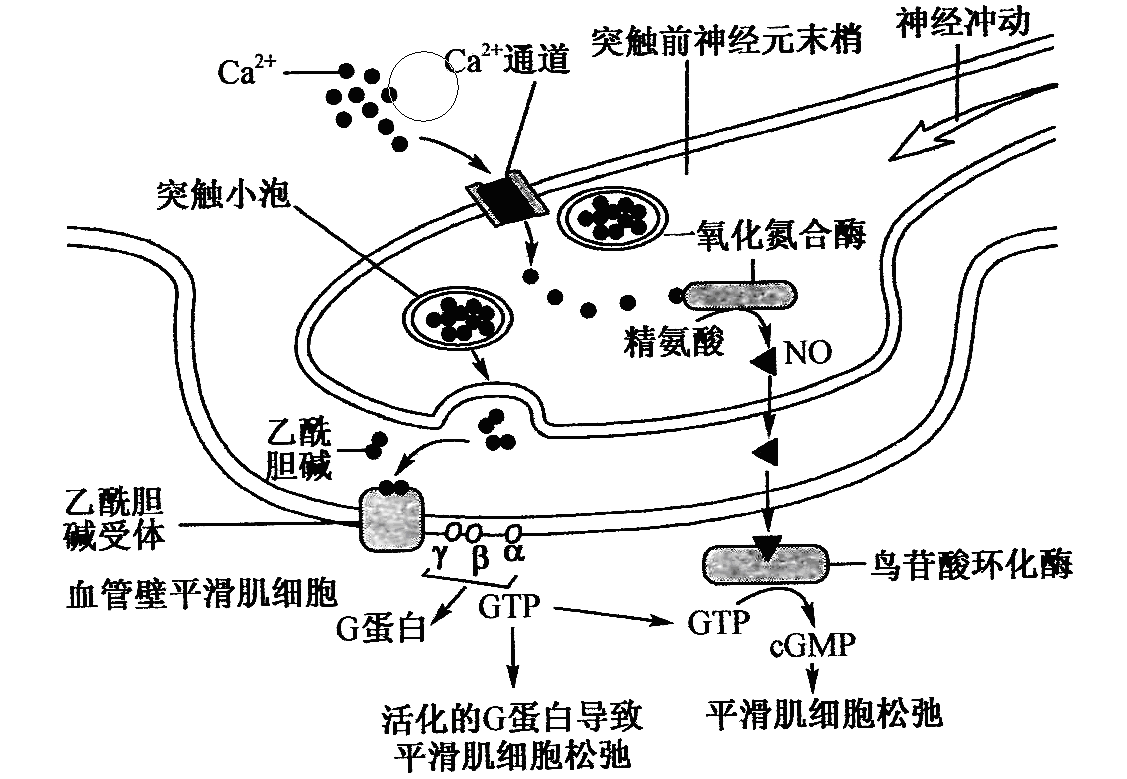 Yangzhong Teaching Studio