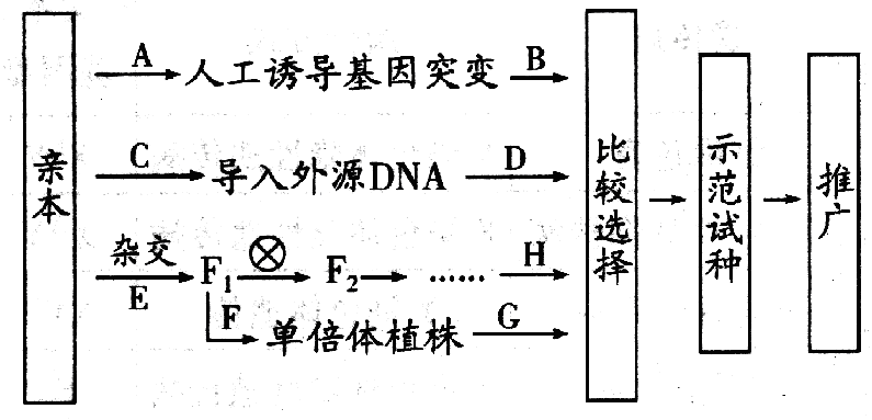 Yangzhong Teaching Studio