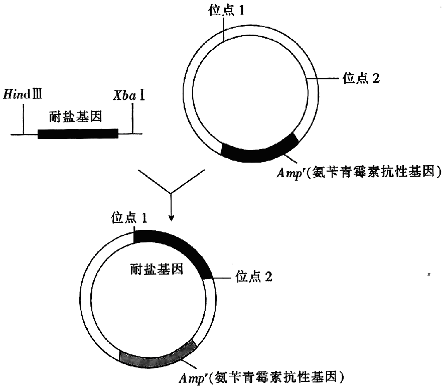 Yangzhong Teaching Studio