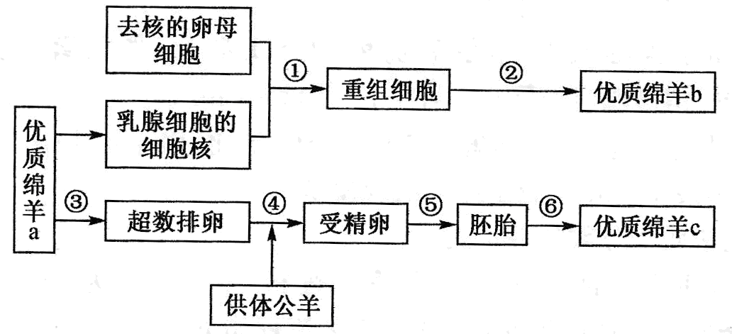 Yangzhong Teaching Studio