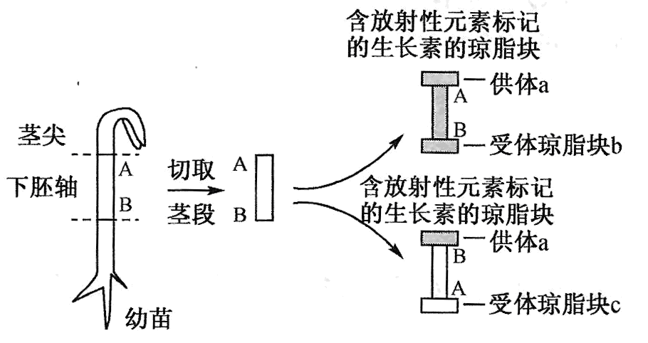 Yangzhong Teaching Studio