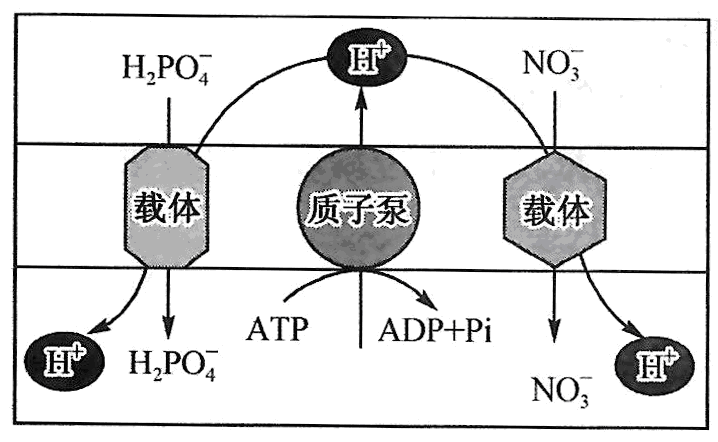 Yangzhong Teaching Studio