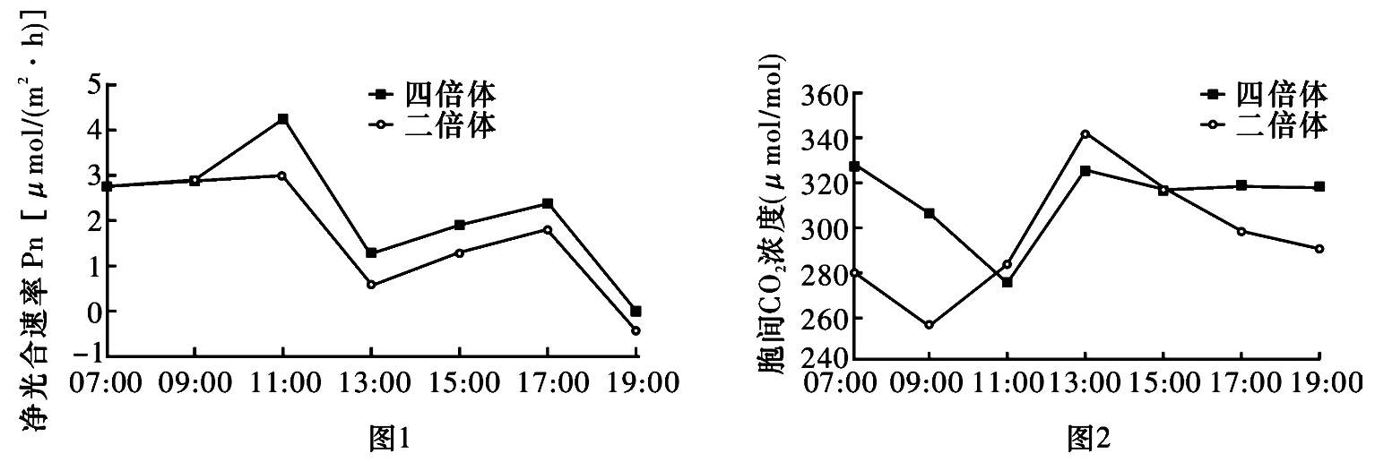 Yangzhong Teaching Studio