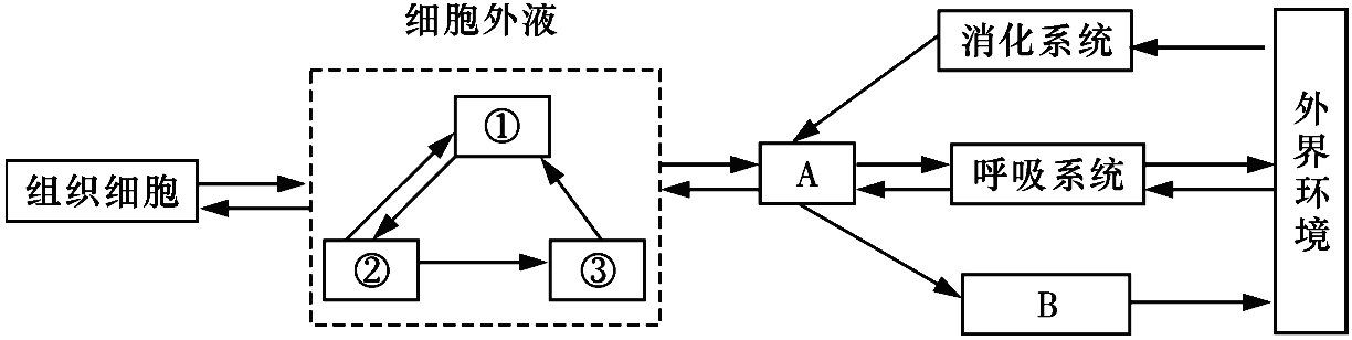 Yangzhong Teaching Studio