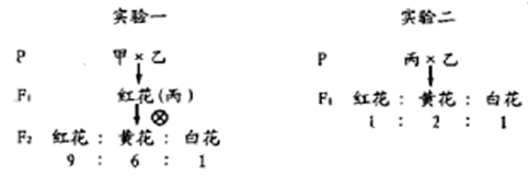 Yangzhong Teaching Studio