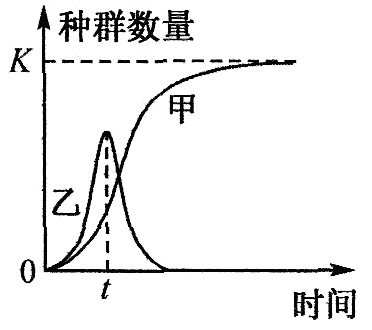 Yangzhong Teaching Studio