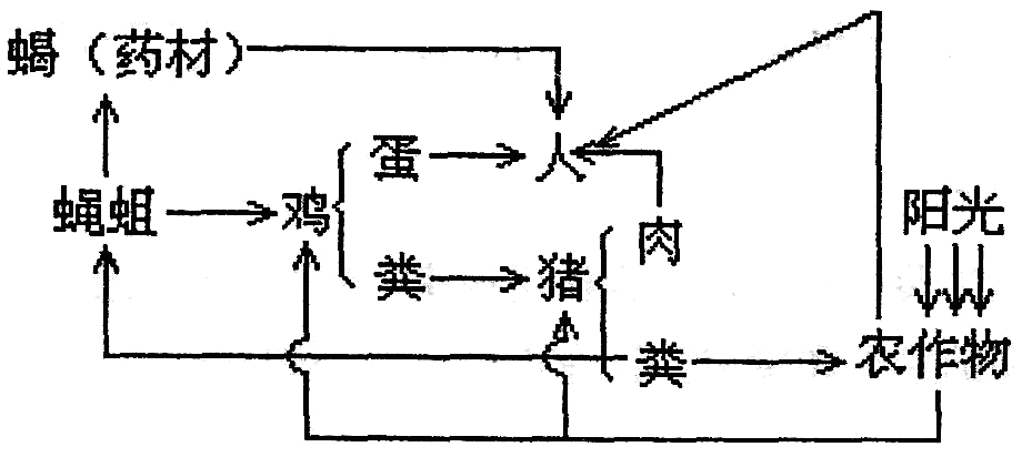 Yangzhong Teaching Studio