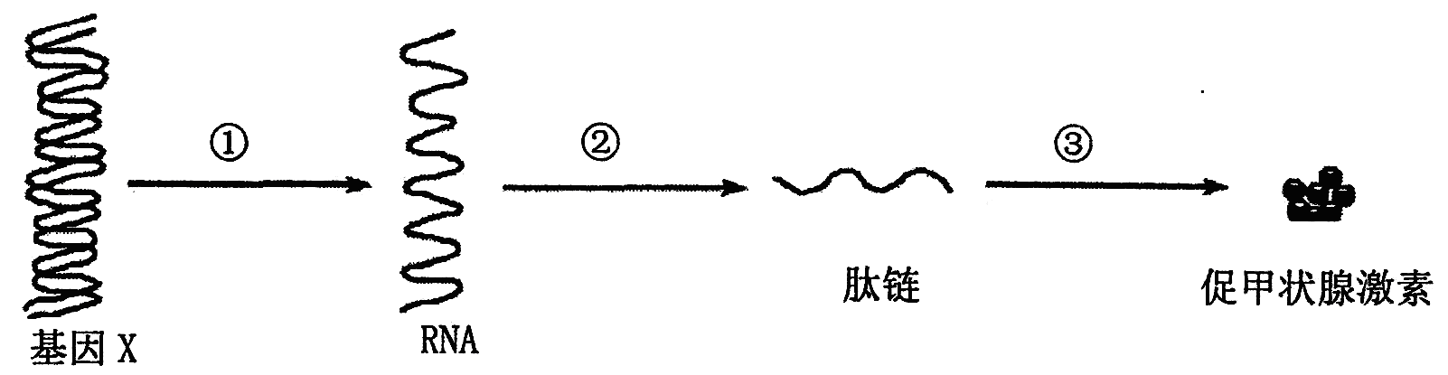 Yangzhong Teaching Studio