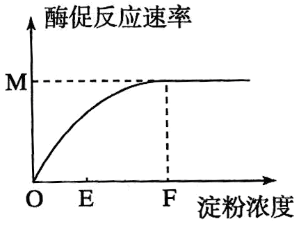 Yangzhong Teaching Studio