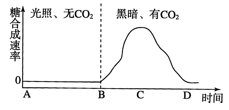 Yangzhong Teaching Studio