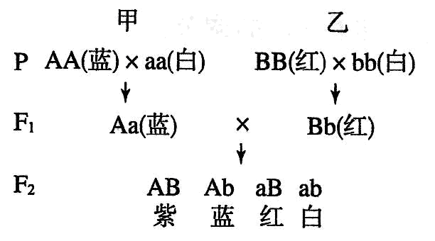 Yangzhong Teaching Studio