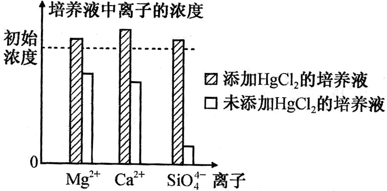 Yangzhong Teaching Studio