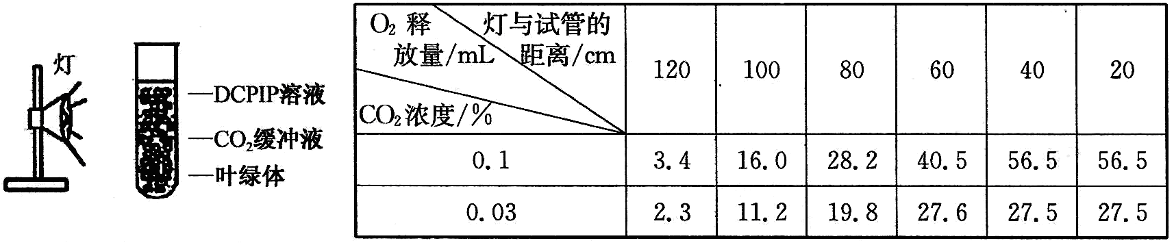 Yangzhong Teaching Studio