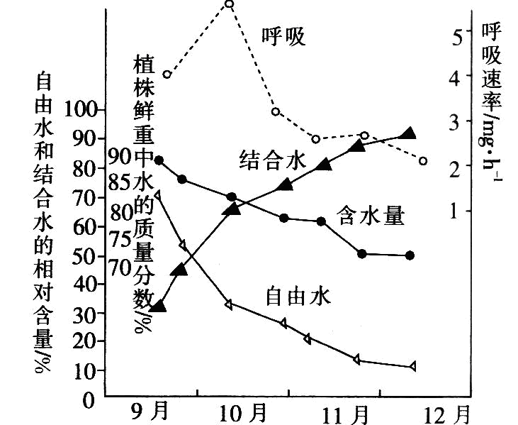 Yangzhong Teaching Studio