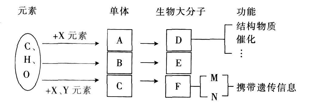 Yangzhong Teaching Studio