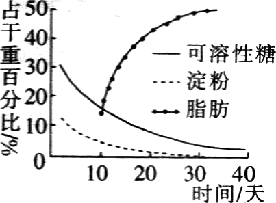 Yangzhong Teaching Studio