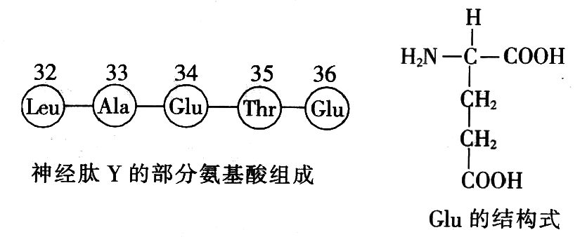 Yangzhong Teaching Studio