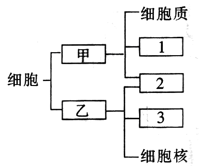 Yangzhong Teaching Studio