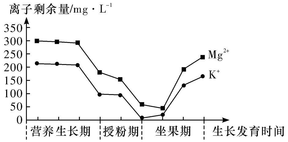 Yangzhong Teaching Studio