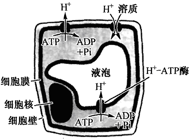 Yangzhong Teaching Studio