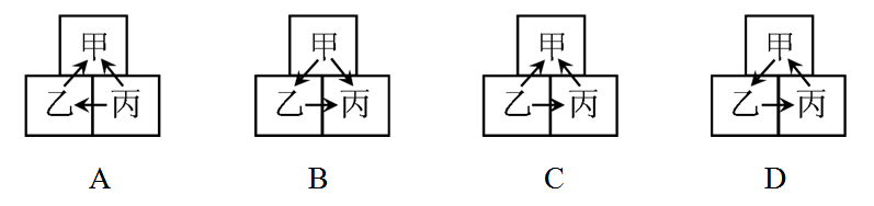 Yangzhong Teaching Studio