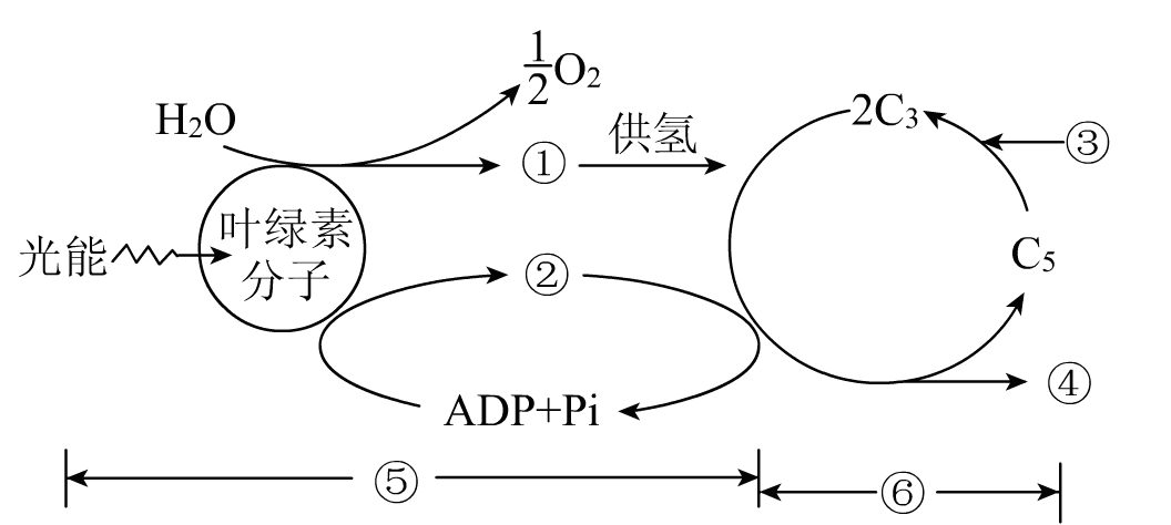 Yangzhong Teaching Studio