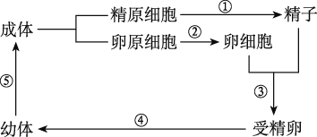 Yangzhong Teaching Studio