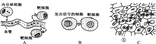 Yangzhong Teaching Studio