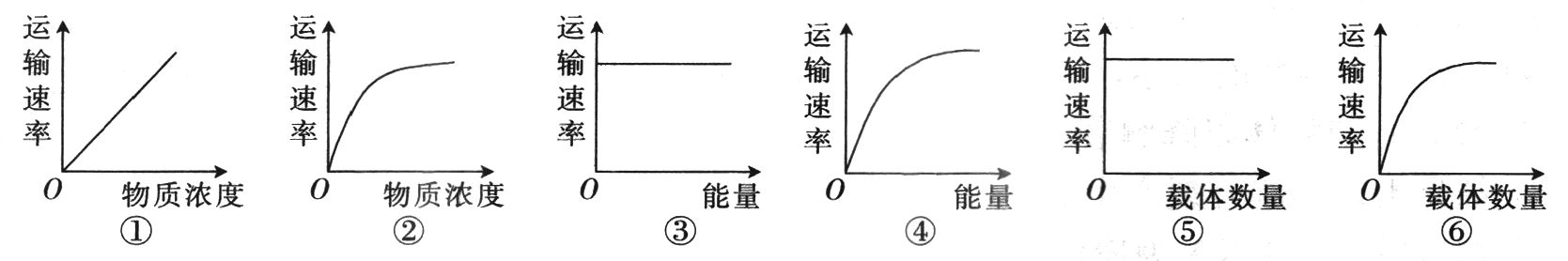 Yangzhong Teaching Studio