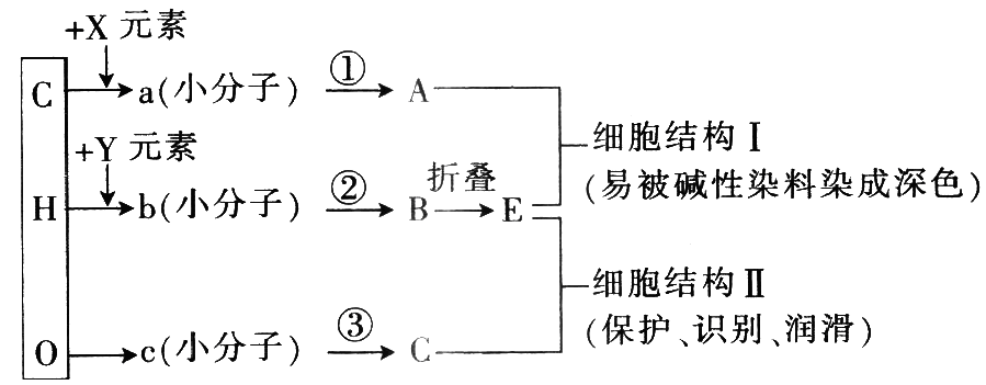 Yangzhong Teaching Studio