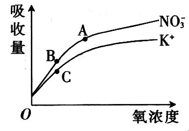 Yangzhong Teaching Studio