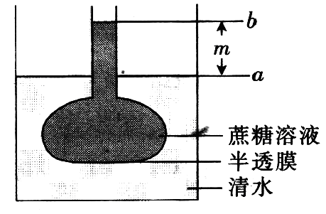 Yangzhong Teaching Studio