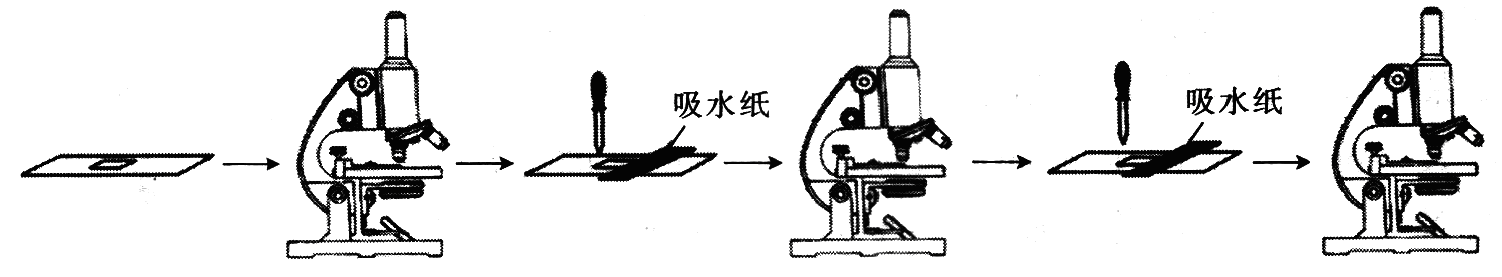 Yangzhong Teaching Studio