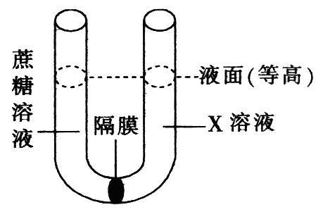 Yangzhong Teaching Studio