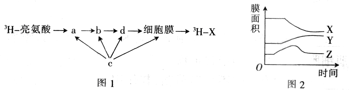 Yangzhong Teaching Studio