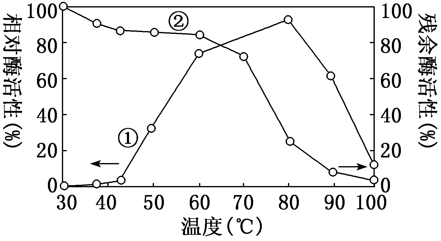 Yangzhong Teaching Studio