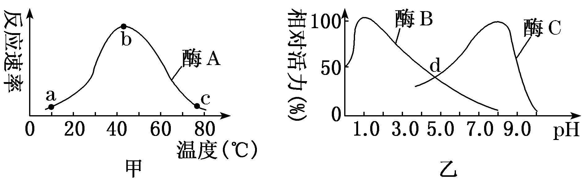 Yangzhong Teaching Studio