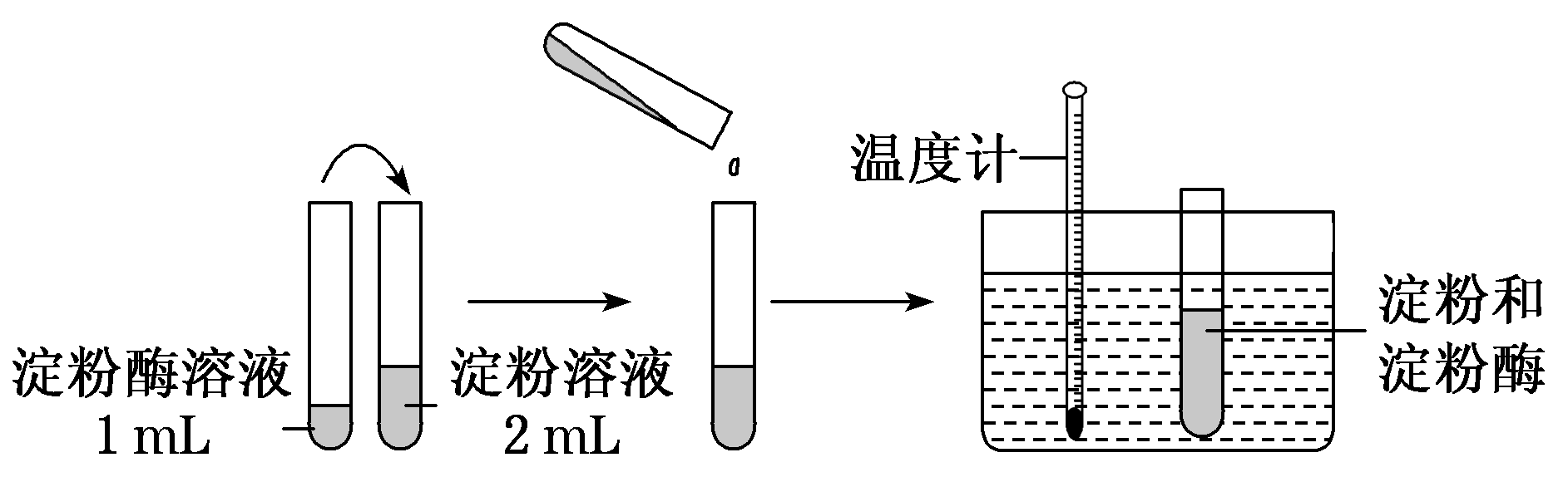 Yangzhong Teaching Studio