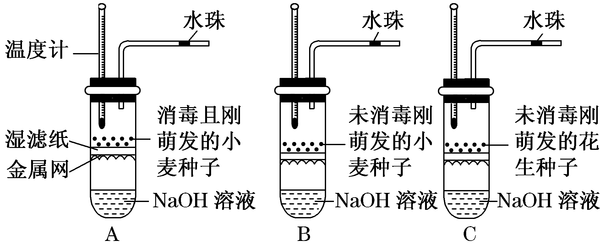 Yangzhong Teaching Studio