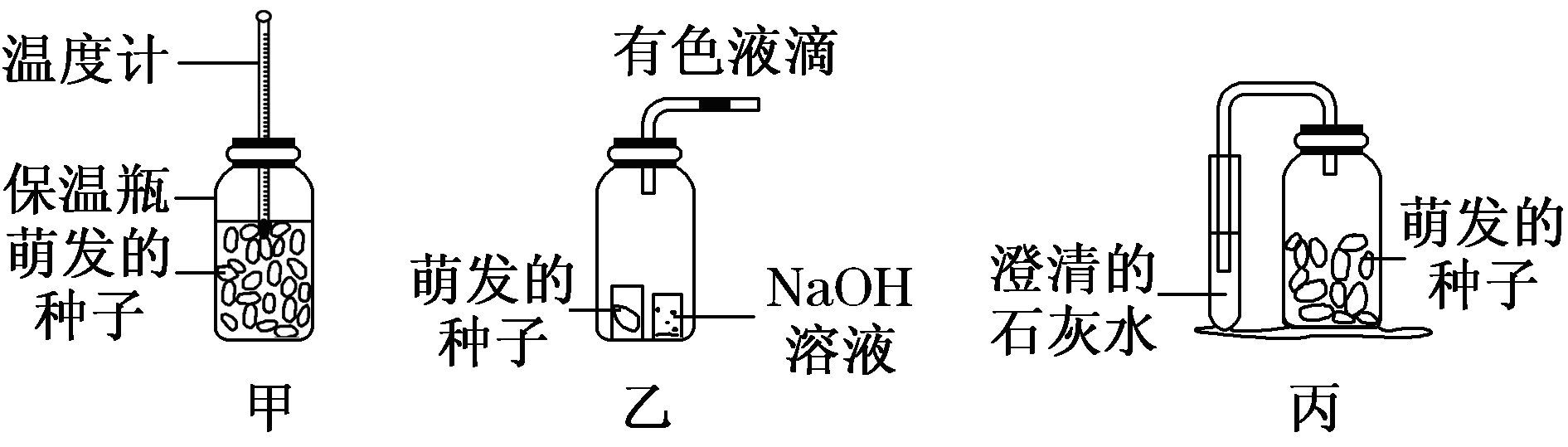 Yangzhong Teaching Studio