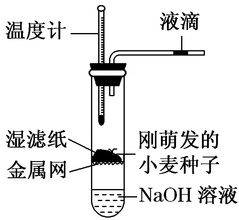 Yangzhong Teaching Studio