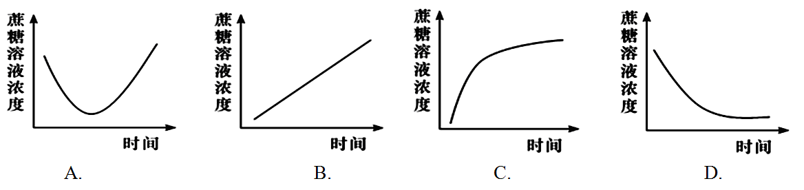 Yangzhong Teaching Studio