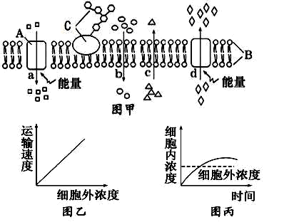 Yangzhong Teaching Studio