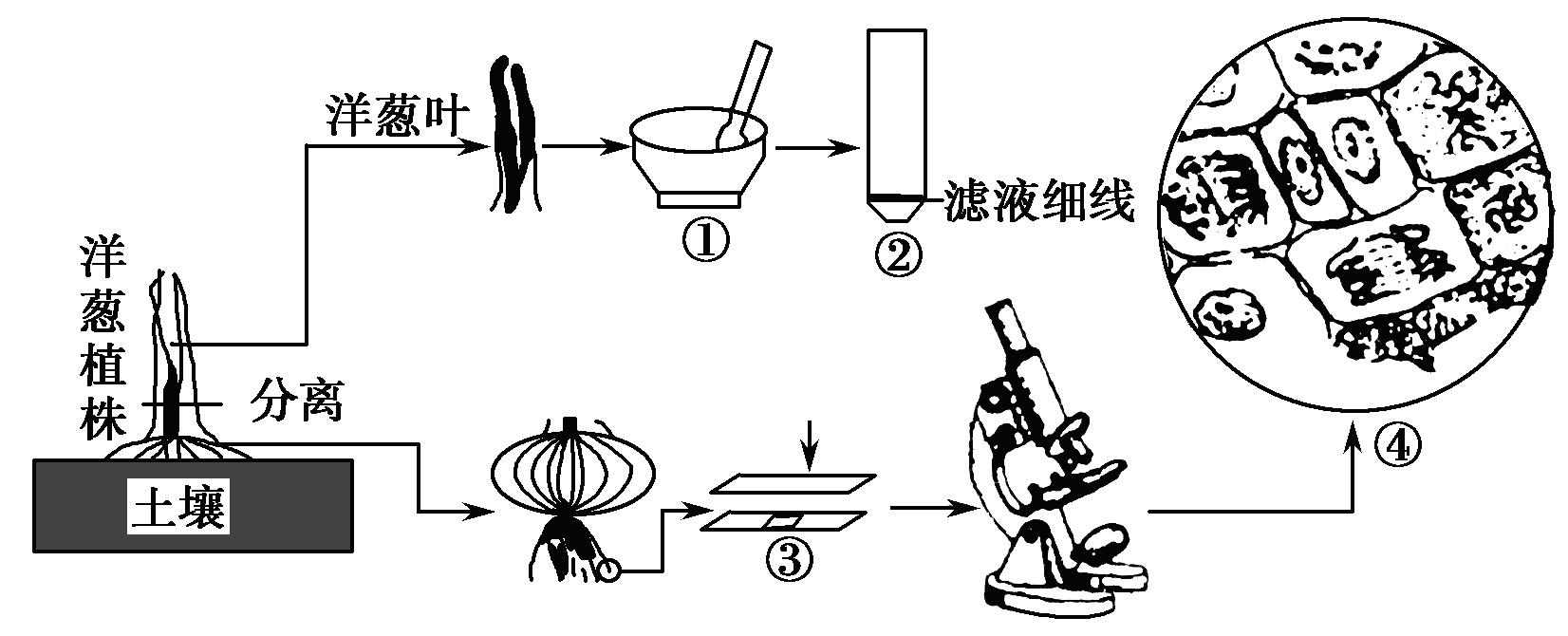 Yangzhong Teaching Studio