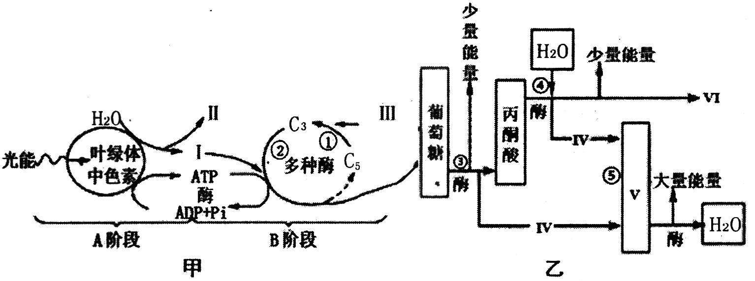 Yangzhong Teaching Studio