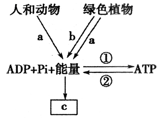 Yangzhong Teaching Studio